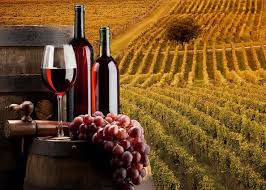 wine bottles and glass